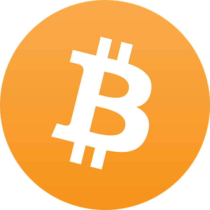 bitcoin-225079_960_720[1].png